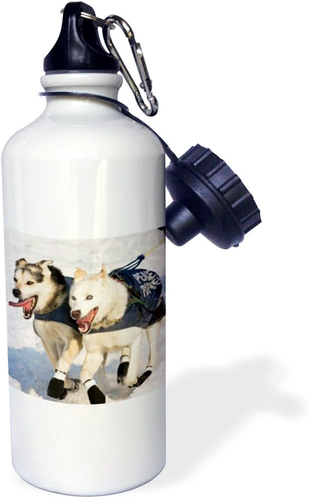 3dRose Dogs, Iditarod Start, Alaska David Northcott Sports Water Bottle, 21 oz, White