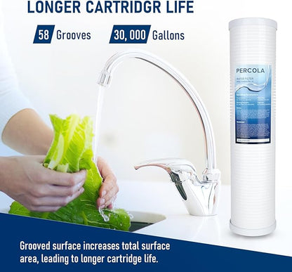 AP810-2 Large Capacity Whole House Replacement Water Filter Drop-in Cartridge, Use with AP802 Systems, 20 X 4.5 Inches (2 Pack)