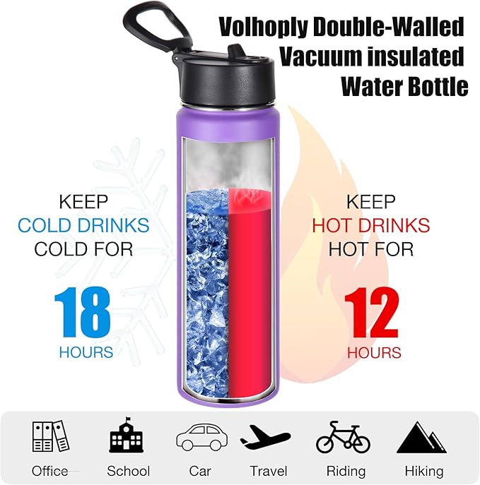 Volhoply 24oz Insulated Water Bottle With Straw Bulk 6 Pack,Metal Wide Mouth Water Bottles With Handle Lid Keep Cold,Reusable Double Wall Thermos,Powder Coated Sport Bottle For Holder(Purple,6 Count)