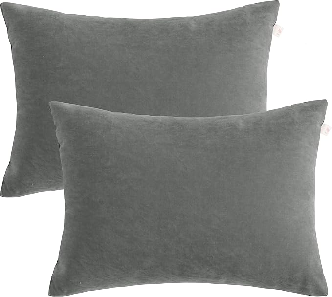 BEDSUM 2 Pack Pillows, 13"x18" Microfiber Pillows for Travel, Pets, Soft and Machine Washable Small Pillows for Neck, Wrist, and Knee Comfort, Dark Grey