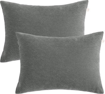 BEDSUM 2 Pack Pillows, 13"x18" Microfiber Pillows for Travel, Pets, Soft and Machine Washable Small Pillows for Neck, Wrist, and Knee Comfort, Dark Grey