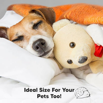 2-Pack Toddler Pillow - Soft Organic Cotton Toddler Pillows for Sleeping - 13X18 Small Pillow for Kids - Kids Pillows for Sleeping - Kids Pillow for Travel, School, Nap, Age 2 to 5 (Herb)