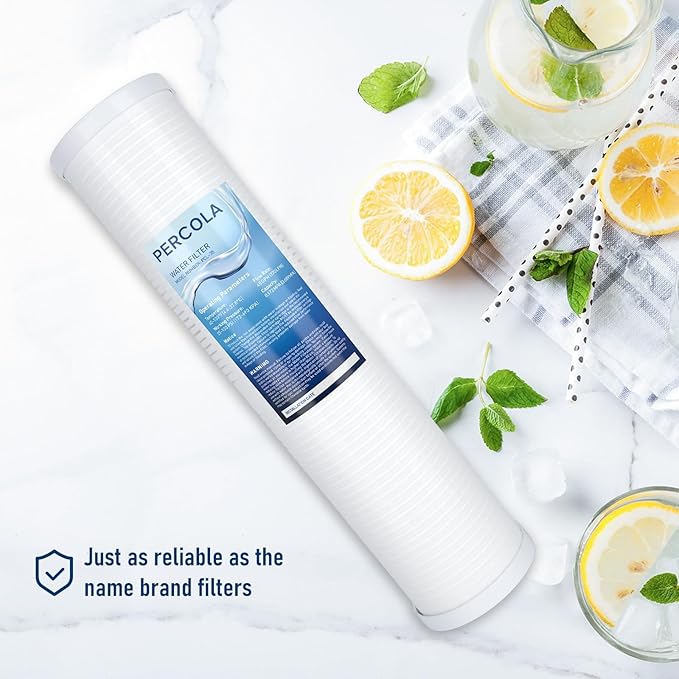 AP810-2 Large Capacity Whole House Replacement Water Filter Drop-in Cartridge, Use with AP802 Systems, 20 X 4.5 Inches (1 Pack)