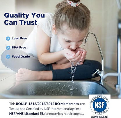 400 GPD RO Membrane with Housing Set, Reverse Osmosis Membrane and 1812/2012 Housing for Maple Syrup DIY and Aquarium Water Systems (4 Pack)