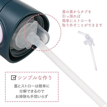 b.box 20oz Tritan Straw Bottle | Large, Modern Water Bottle with Flip Straw for Kids | Spill Proof, BPA Free (Indigo Rose, 20 oz)