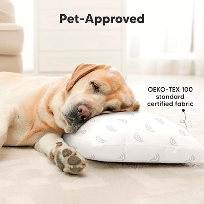 2-Pack Toddler Pillow - Soft Organic Cotton Toddler Pillows for Sleeping - 13X18 Small Pillow for Kids - Kids Pillows for Sleeping - Kids Pillow for Travel, School, Nap, Age 2 to 5 (Gray Rainbow)