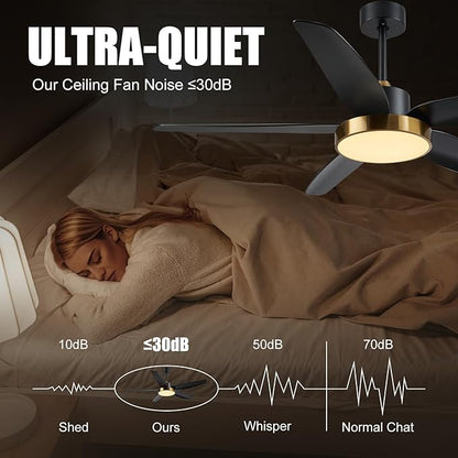 Modern Ceiling Fan with Light and Remote Control,56''Ceiling Fan with 3 Color Lights,Memory Function,5 Blades,6 Speeds,Outdoor Fan and Light for Living Room,Bedroom,Kitchen,Black Gold