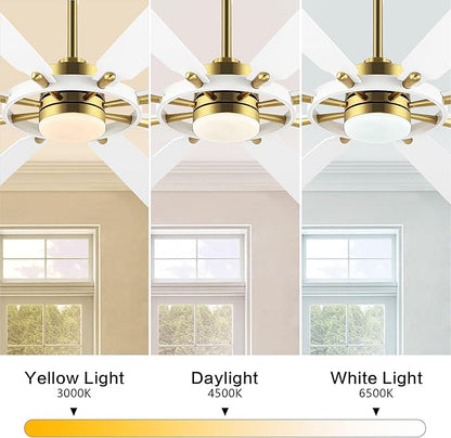 80" Ceiling Fan with Lights and Remote Control, Wood 8 Blades 6-Speed Noiseless Reversible DC Motor, 3 Downrods, Modern Large Ceiling Fan for Bedroom Dining Living Room, Gold Finish+White