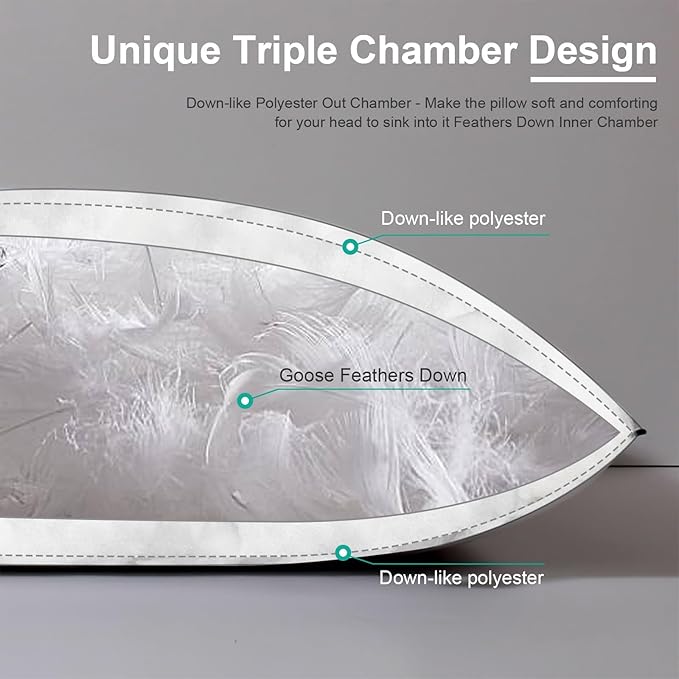 APSMILE Medium Firm Feather Down Pillows Standard Size Set of 2, Luxury Goose Feather Pillow for Sleeping, 600TC/DM Organic Cotton Cover Hotel Bed Pillow Wrapped in Polyester (White, 20"x26")