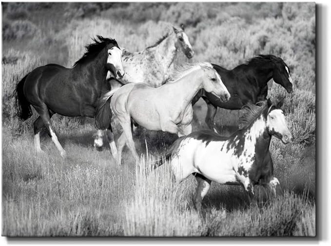 Renditions Gallery Canvas Animal Wall Art Modern Decorations Paintings Running Vintage Horses Black & White Nature Wall Hanging Artwork Prints for Bedroom Office Kitchen - 24"x36" LT33