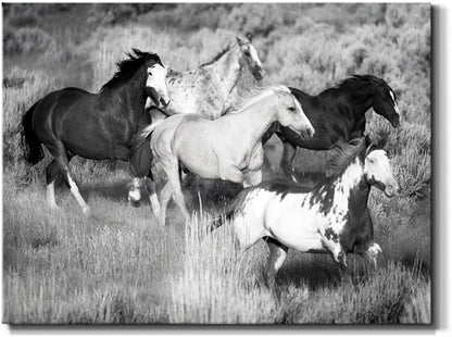 Renditions Gallery Canvas Animal Wall Art Modern Decorations Paintings Running Vintage Horses Black & White Nature Wall Hanging Artwork Prints for Bedroom Office Kitchen - 24"x36" LT33