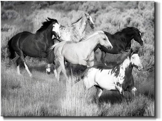 Renditions Gallery Canvas Animal Wall Art Modern Decorations Paintings Running Vintage Horses Black & White Nature Wall Hanging Artwork Prints for Bedroom Office Kitchen - 24"x36" LT33