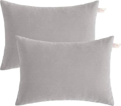BEDSUM 2 Pack Pillows, 13"x18" Microfiber Pillows for Travel, Pet, Soft and Machine Washable Small Pillows for Neck, Wrist, and Knee Comfort, Light Grey