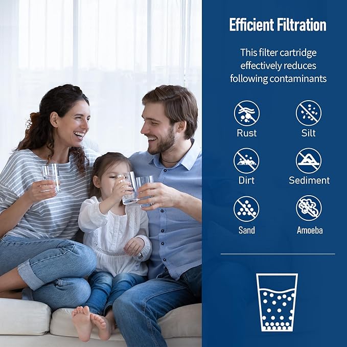 AP817-2 Whole House Filter, Fits Aqua-Pure AP800 Series Whole House water filter systems, 20 X 4.5 Inches (1 Pack)