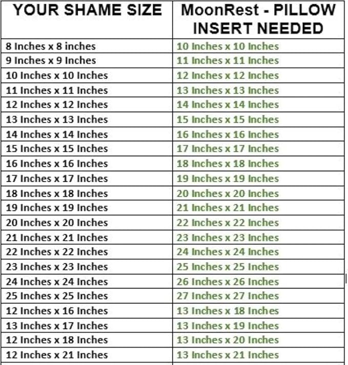 Pack of 4 Throw Pillow Inserts, 18 x 18 Square Cushion Inner Soft Fluffy Plump Stuffer Cushion Pads White Decorative Pillow Inserts (18x18 Inch (Pack of 4))