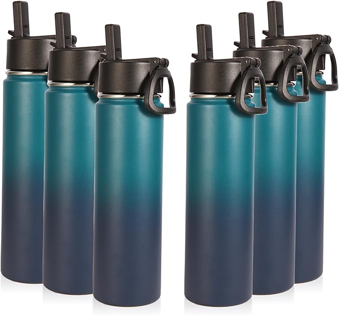 Volhoply 24oz Insulated Water Bottle With Straw Bulk 6 Pack,Metal Wide Mouth Water Bottles With Handle Keep Cold,Reusable Double Wall Thermos,Powder Coated Sport Bottle For Holder(Dark Night,6 Count)