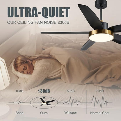 Modern Ceiling Fan with Light and Remote Control,56''Ceiling Fan with 3 Color Lights,Memory Function,5 Blades,6 Speeds,Outdoor Fan and Light for Living Room,Bedroom,Kitchen,Brass Gold