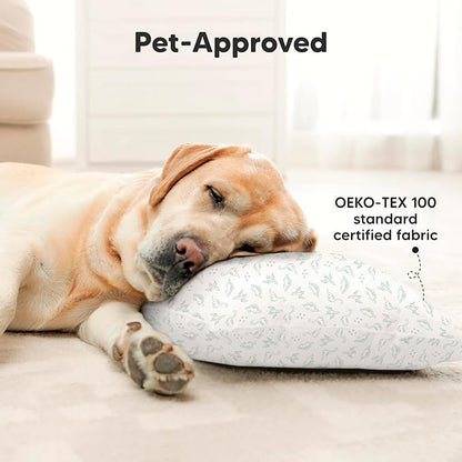 2-Pack Toddler Pillow - Soft Organic Cotton Toddler Pillows for Sleeping - 13X18 Small Pillow for Kids - Kids Pillows for Sleeping - Kids Pillow for Travel, School, Nap, Age 2 to 5 (DinoLand)