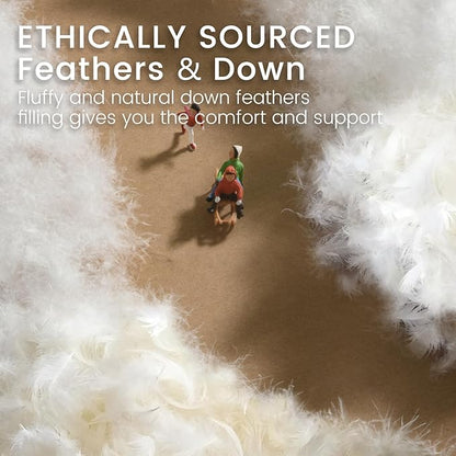 Alanzimo Goose Feather Down Pillows Queen Size Set of 2, Luxury Soft Feather Down Pillow for Sleeping, 600TC 100% Cotton Cover Hotel Collection Bed Pillows for Back, Stomach or Side Sleepers 20x28