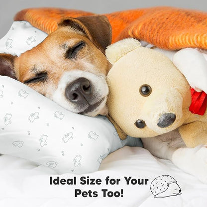 2-Pack Toddler Pillow - Soft Organic Cotton Toddler Pillows for Sleeping - 13X18 Small Pillow for Kids - Kids Pillows for Sleeping - Kids Pillow for Travel, School, Nap, Age 2 to 5 (Bunnies)