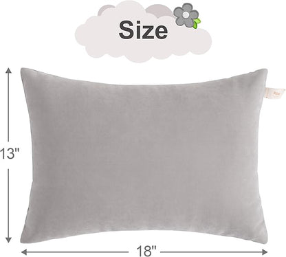 BEDSUM 2 Pack Pillows, 13"x18" Microfiber Pillows for Travel, Pet, Soft and Machine Washable Small Pillows for Neck, Wrist, and Knee Comfort, Light Grey