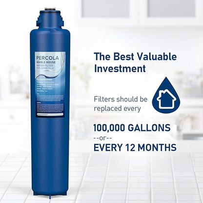 AP917HD-S Water Filter, Compatible with Aqua-Pure® AP917HD-S Whole House Sediment/CTO Filter Cartridge for 3M® Aqua-Pure® AP904 System, W/Scale Inhibitor (1 Pack)