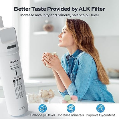 Alkaline Remineralization & pH Inline Water Filter, Replacement for TECASA Under Sink Tankless Reverse Osmosis System, 1-year Lifetime