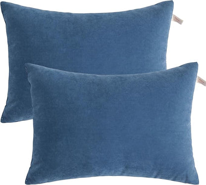 BEDSUM 2 Pack Pillows, 13"x18" Microfiber Pillows for Travel, Pet, Soft and Machine Washable Small Pillows for Neck, Wrist, and Knee Comfort, Denim Blue