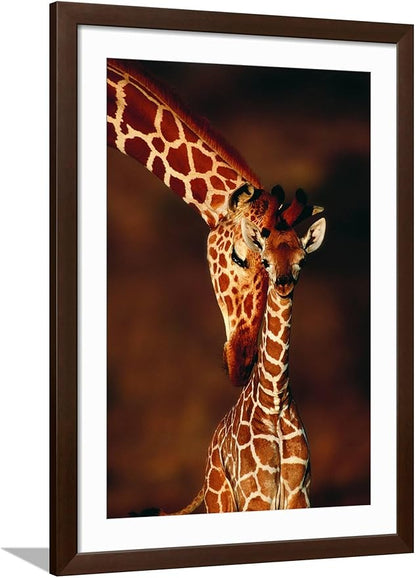 Framed Wall Art Prints Giraffe and Baby by Lantern Press, Animals Decor, 24" x 36", Espresso Frame with White Mat