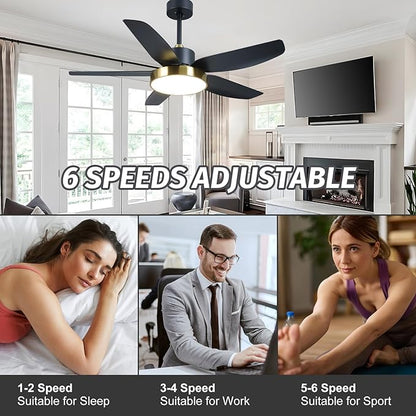 Modern Ceiling Fan with Light and Remote Control,46''Ceiling Fan with 3 Color Lights,Memory Function,5 Blades,6 Speeds,Outdoor Fan and Light for Living Room,Bedroom,Kitchen,Black Gold