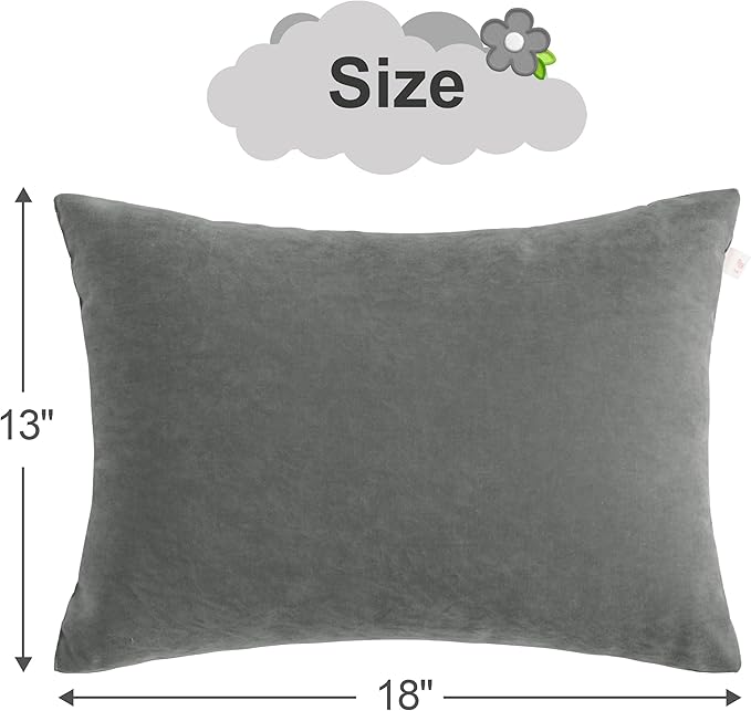 BEDSUM 2 Pack Pillows, 13"x18" Microfiber Pillows for Travel, Pets, Soft and Machine Washable Small Pillows for Neck, Wrist, and Knee Comfort, Dark Grey