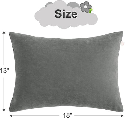 BEDSUM 2 Pack Pillows, 13"x18" Microfiber Pillows for Travel, Pets, Soft and Machine Washable Small Pillows for Neck, Wrist, and Knee Comfort, Dark Grey