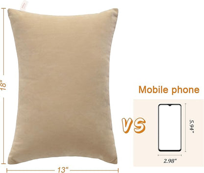 BEDSUM 2 Pack Pillows, 13"x18" Microfiber Pillows for Travel, Pets, Soft and Machine Washable Small Pillows for Neck, Wrist, and Knee Comfort, Taupe