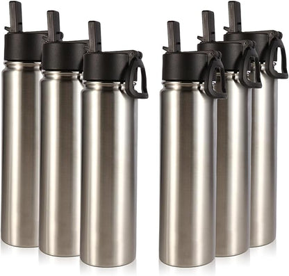 Volhoply 24oz Insulated Water Bottle With Straw Bulk 6 Pack,Metal Wide Mouth Water Bottles With Handle Lid Keep Cold,Reusable Double Wall Thermos,Powder Coated Sport Bottle For Holder(Sliver,6 Count)
