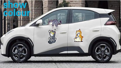 Cat Car Sticker Car Window Sticker 3D for Car Window Bumper Cute Car Decal for Car Window Door Bumper Car Accessories Decoration 3 Pack Personalized Unique