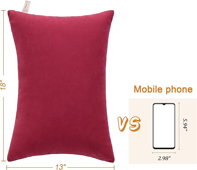 BEDSUM 2 Pack Pillows, 13"x18" Microfiber Pillows for Travel, Pets, Soft and Machine Washable Small Pillows for Neck, Wrist, and Knee Comfort, Red