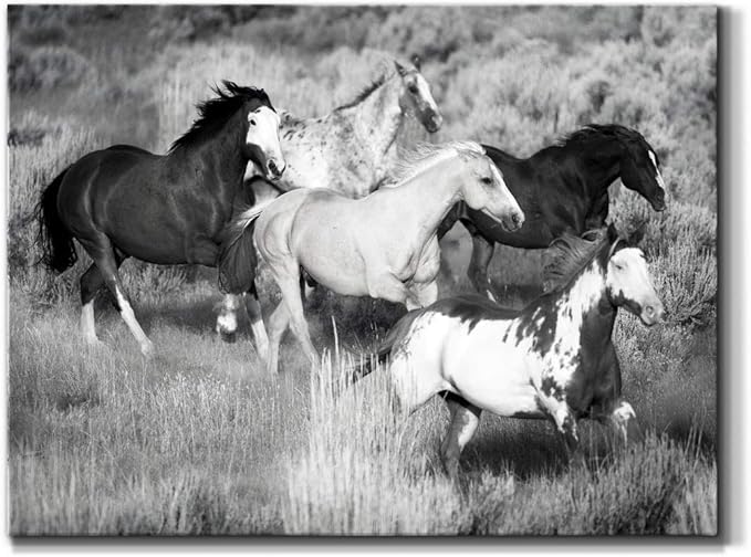 Renditions Gallery Canvas Animal Wall Art Modern Decorations Paintings Running Vintage Horses Black & White Nature Wall Hanging Artwork Prints for Bedroom Office Kitchen - 12"x18" LT33