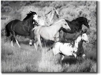 Renditions Gallery Canvas Animal Wall Art Modern Decorations Paintings Running Vintage Horses Black & White Nature Wall Hanging Artwork Prints for Bedroom Office Kitchen - 18"x27" LT33