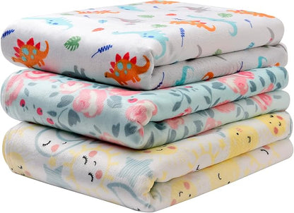 2 Ply Silky Mink Embroidered Baby Blanket, Reversible Garden Rose Print, (Aqua, 30 in. x 40 in.)