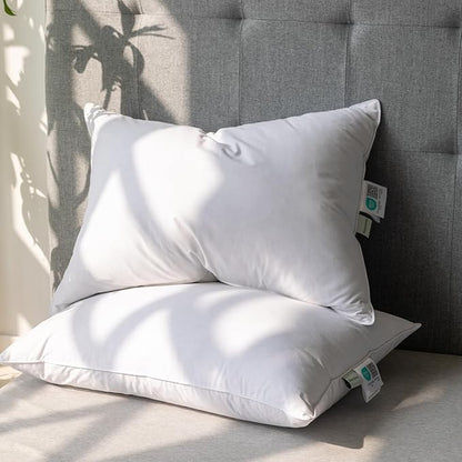 Alanzimo Goose Feather Down Pillows Queen Size Set of 2, Luxury Soft Feather Down Pillow for Sleeping, 600TC 100% Cotton Cover Hotel Collection Bed Pillows for Back, Stomach or Side Sleepers 20x28