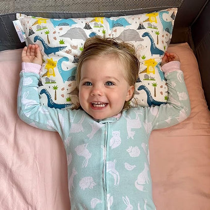 ALVABABY Toddler Pillowcases-Cotton Pillow Cover Fits 14x19 or 13 x 18 Kids Bedding Pillow 2 Pack Large Pillow Covers Envelope for Babies Children Boys Girls Sleeping and Travel Dinosaurs 2L-TPW10