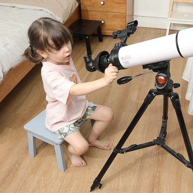 HOUCHICS Wooden Step Stool for Kids,Solid Birch for Kitchen Bedroom Living Room Bathroom Toilet Nursery Toddlers Potty Training Stool with Non-Slip Pads and 220lb Load Capacity (Gray