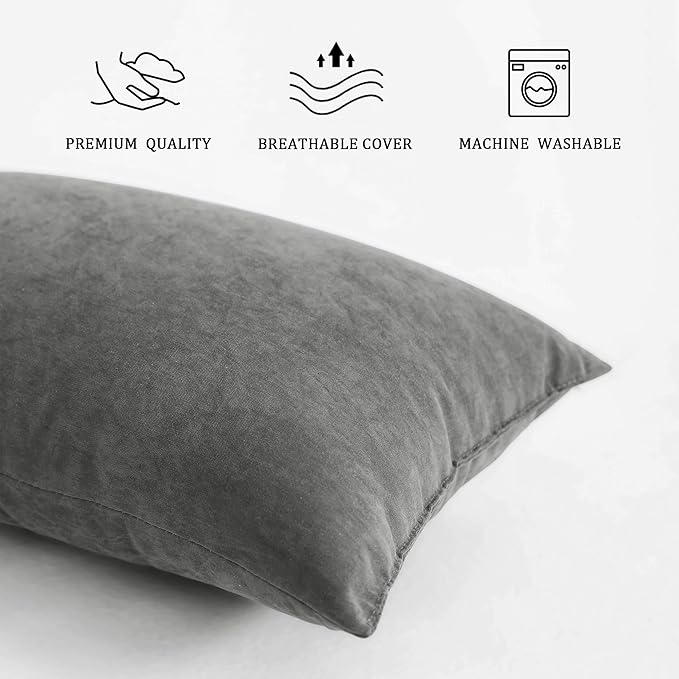 BEDSUM 2 Pack Pillows, 13"x18" Microfiber Pillows for Travel, Pets, Soft and Machine Washable Small Pillows for Neck, Wrist, and Knee Comfort, Dark Grey