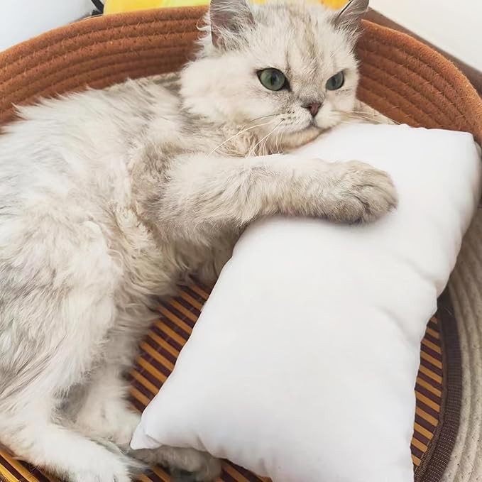 BEDSUM 2 Pack Tiny Pillows, 11"x7" Microfiber Mini Pillows for Travel, Dogs, Cats, Soft and Machine Washable Small Pillows for Neck, Wrist, and Knee Comfort, Red