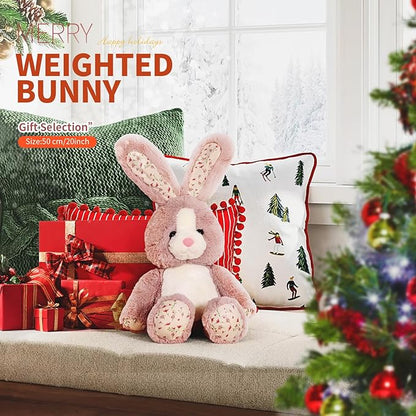 20 inch Long Ear Bunny Plush, Pink Bunny Weighted Stuffed Animals, Big Rabbit Plushies Pillow Toys, Birthday Gift for Kids and Adults.