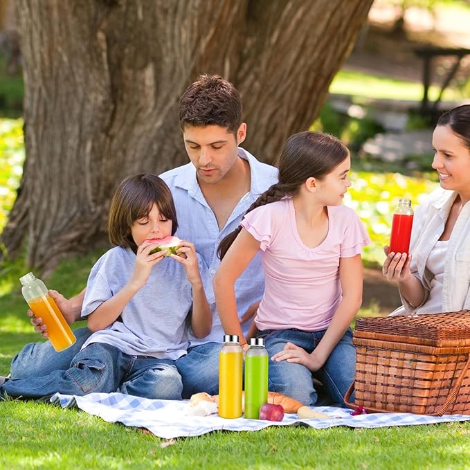 Glass Juice Bottles with Lids for Juicing 18 oz, Reusable Clear Glass Water Bottles with Stainless Steel Airtight Cap for Refrigerator, 100% Leak Proof, BPA Free, Set of 6