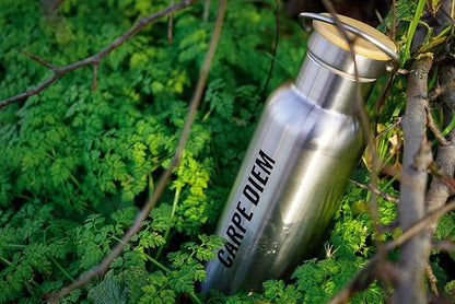 Insulated Water Bottle 16oz | Stainless Steel Water Bottle | Insulated Water Bottles | Travel Water Bottle | Metal Water Bottle | BPA-Free | Reusable Water Bottle 500 ml | Perfect for School