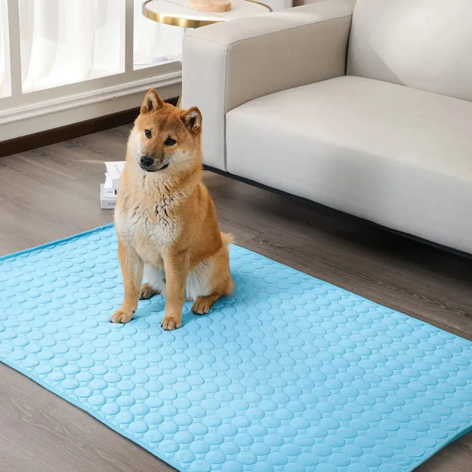 Couverture rafraichissante pour chien et chat 1